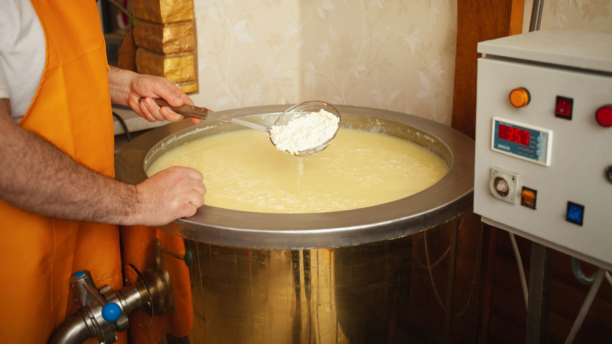 Cheese production from milk, home business, food, eco-friendly and tasty products. Serum in vat